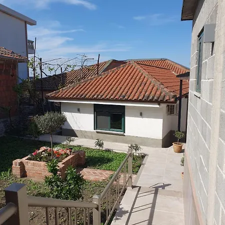 Center Lake House Szkodra